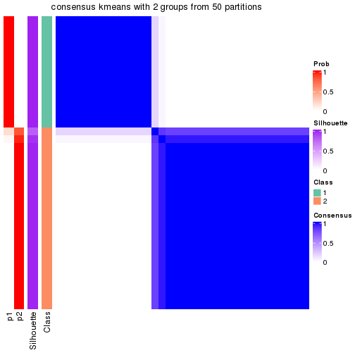 plot of chunk tab-node-023-consensus-heatmap-1