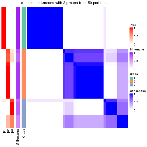 plot of chunk tab-node-023-consensus-heatmap-2