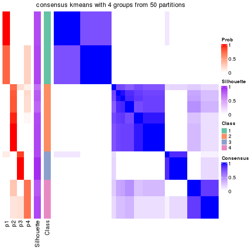 plot of chunk tab-node-023-consensus-heatmap-3