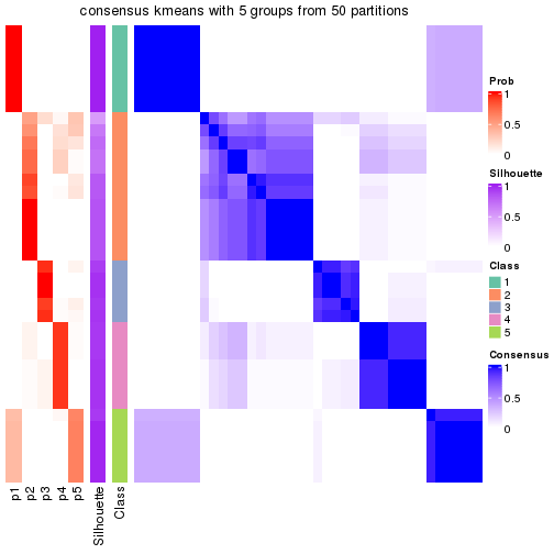 plot of chunk tab-node-023-consensus-heatmap-4