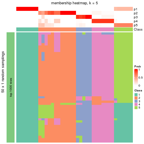 plot of chunk tab-node-023-membership-heatmap-4