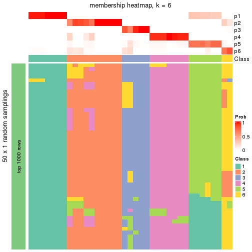 plot of chunk tab-node-023-membership-heatmap-5