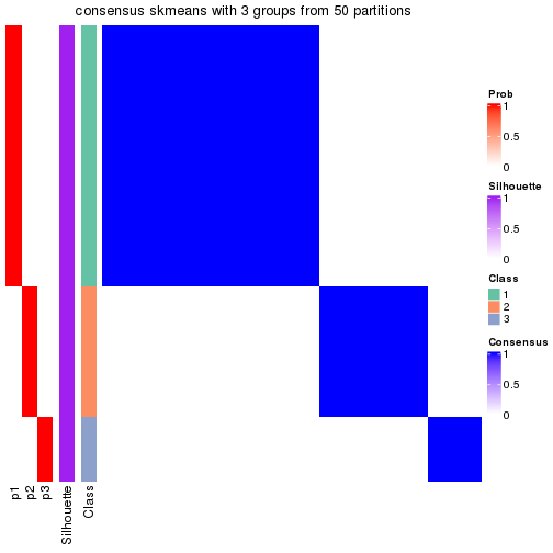 plot of chunk tab-node-0231-consensus-heatmap-2