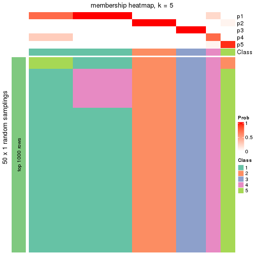 plot of chunk tab-node-0231-membership-heatmap-4