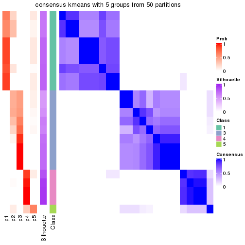 plot of chunk tab-node-0232-consensus-heatmap-4