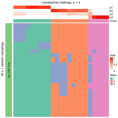 plot of chunk tab-node-0232-membership-heatmap-3