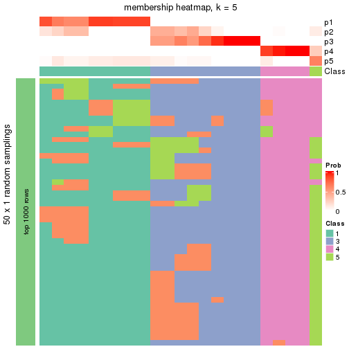 plot of chunk tab-node-0232-membership-heatmap-4