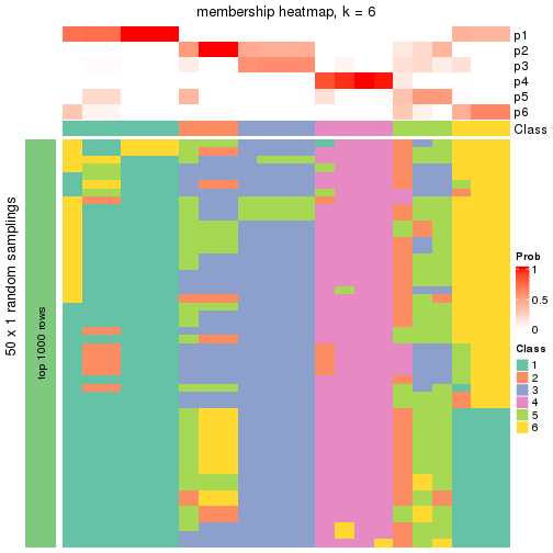 plot of chunk tab-node-0232-membership-heatmap-5