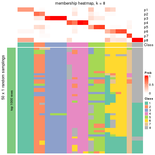 plot of chunk tab-node-0232-membership-heatmap-7