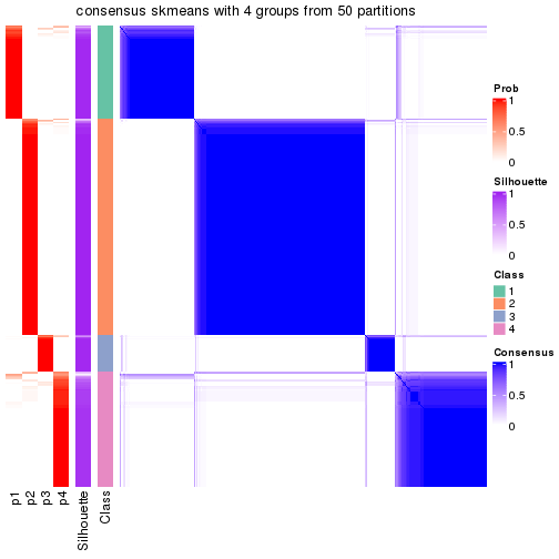 plot of chunk tab-node-0-consensus-heatmap-3