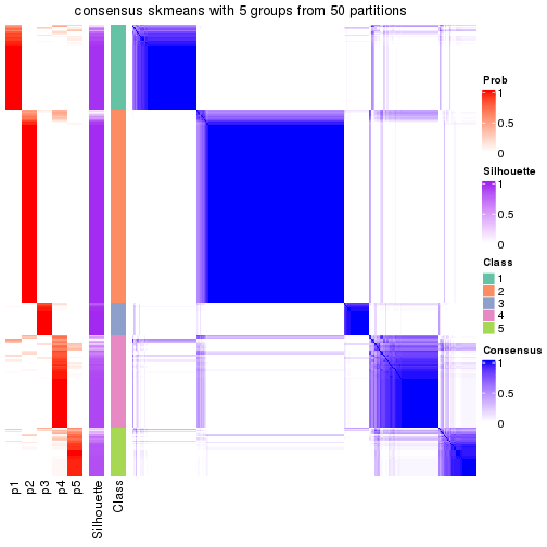 plot of chunk tab-node-0-consensus-heatmap-4