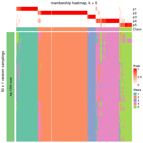 plot of chunk tab-node-0-membership-heatmap-4