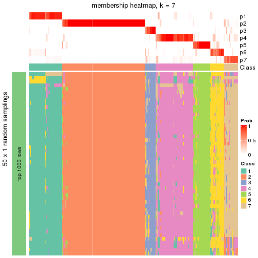 plot of chunk tab-node-0-membership-heatmap-6