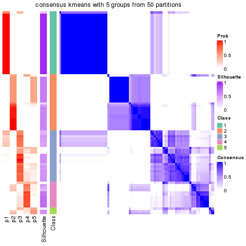 plot of chunk tab-node-01-consensus-heatmap-4