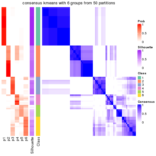 plot of chunk tab-node-01-consensus-heatmap-5