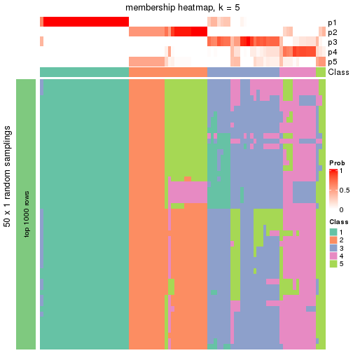 plot of chunk tab-node-01-membership-heatmap-4