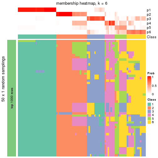 plot of chunk tab-node-01-membership-heatmap-5