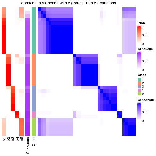 plot of chunk tab-node-011-consensus-heatmap-4