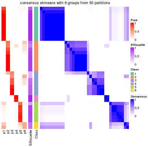 plot of chunk tab-node-011-consensus-heatmap-5