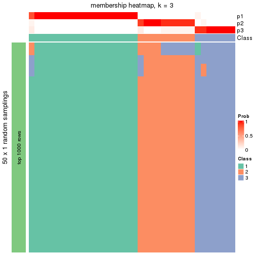 plot of chunk tab-node-011-membership-heatmap-2