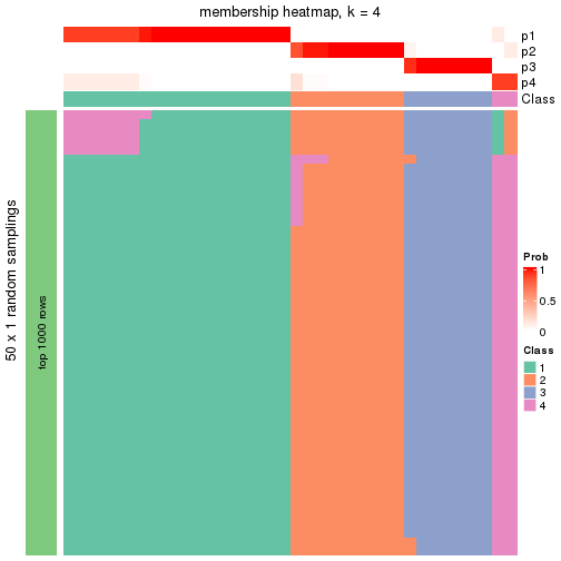 plot of chunk tab-node-011-membership-heatmap-3