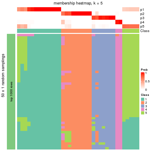 plot of chunk tab-node-011-membership-heatmap-4