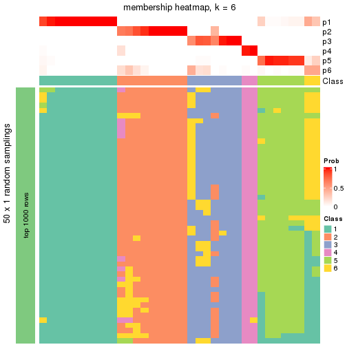 plot of chunk tab-node-011-membership-heatmap-5