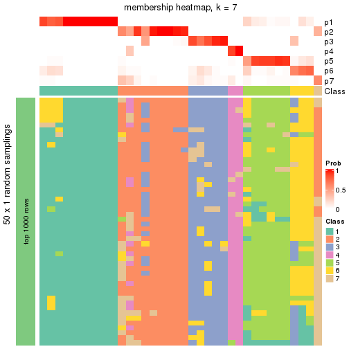 plot of chunk tab-node-011-membership-heatmap-6