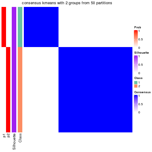 plot of chunk tab-node-012-consensus-heatmap-1