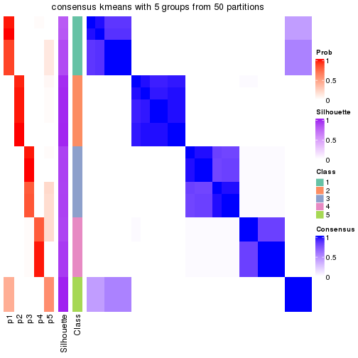 plot of chunk tab-node-012-consensus-heatmap-4