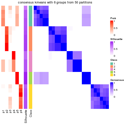 plot of chunk tab-node-012-consensus-heatmap-5