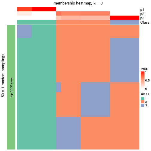 plot of chunk tab-node-012-membership-heatmap-2