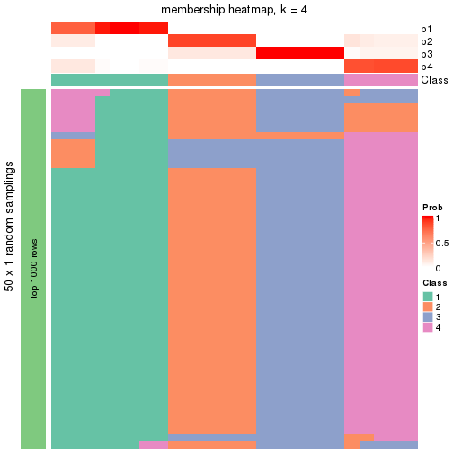 plot of chunk tab-node-012-membership-heatmap-3