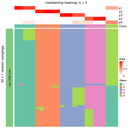 plot of chunk tab-node-012-membership-heatmap-4