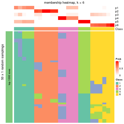 plot of chunk tab-node-012-membership-heatmap-5