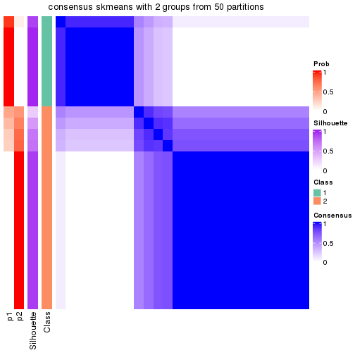 plot of chunk tab-node-013-consensus-heatmap-1