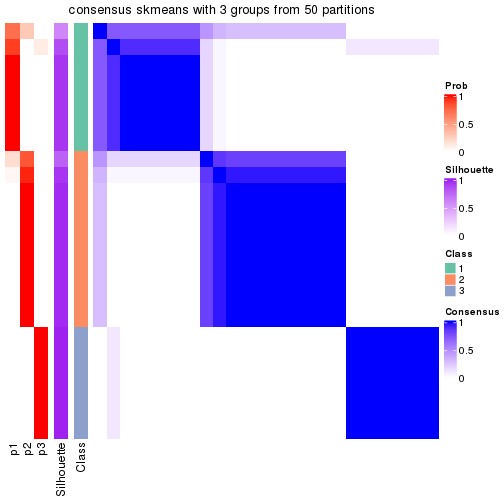 plot of chunk tab-node-013-consensus-heatmap-2