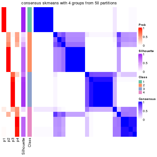 plot of chunk tab-node-013-consensus-heatmap-3