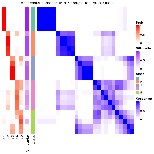 plot of chunk tab-node-013-consensus-heatmap-4