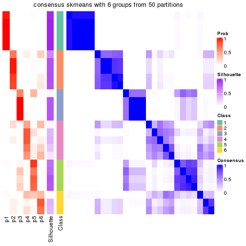 plot of chunk tab-node-013-consensus-heatmap-5