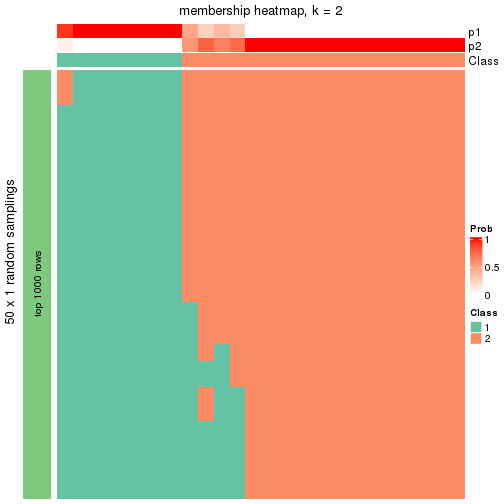 plot of chunk tab-node-013-membership-heatmap-1