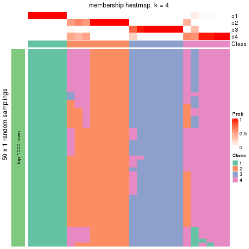 plot of chunk tab-node-013-membership-heatmap-3