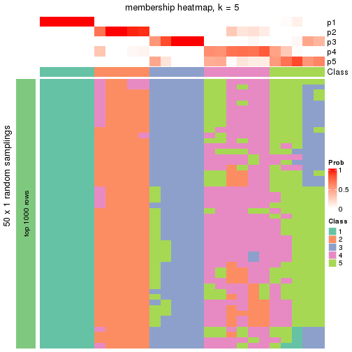 plot of chunk tab-node-013-membership-heatmap-4