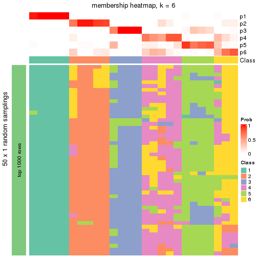 plot of chunk tab-node-013-membership-heatmap-5