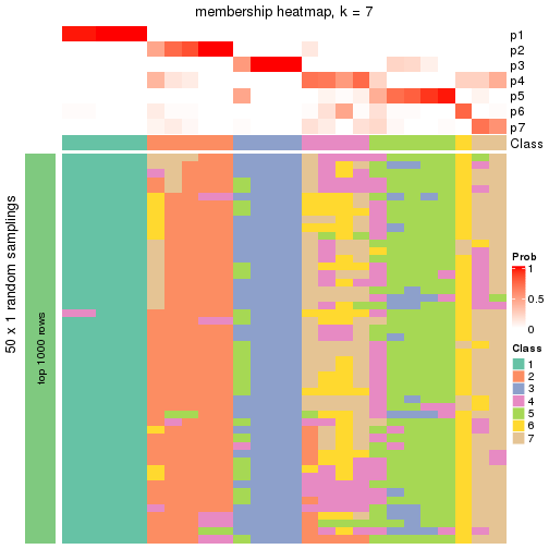 plot of chunk tab-node-013-membership-heatmap-6