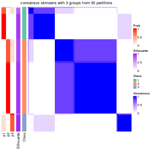 plot of chunk tab-node-02-consensus-heatmap-2