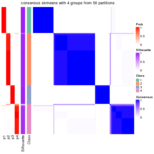 plot of chunk tab-node-02-consensus-heatmap-3