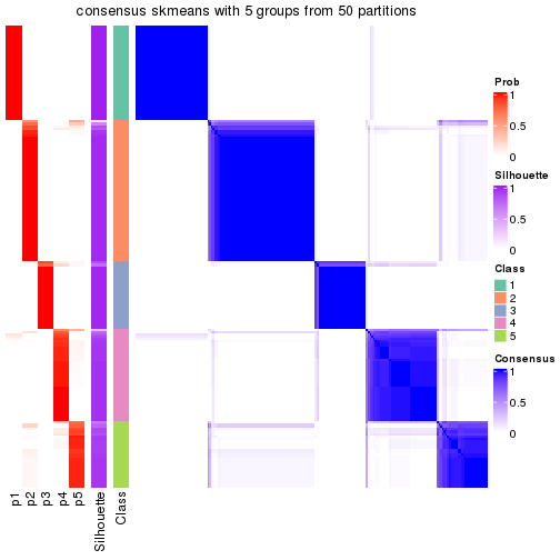 plot of chunk tab-node-02-consensus-heatmap-4