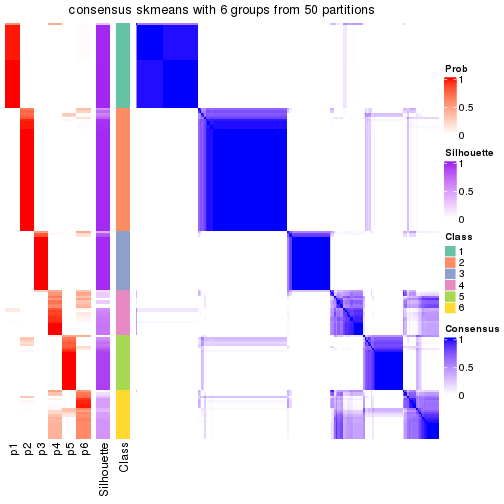 plot of chunk tab-node-02-consensus-heatmap-5