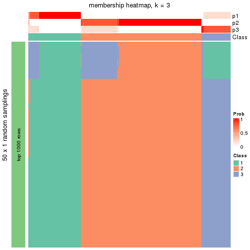 plot of chunk tab-node-02-membership-heatmap-2